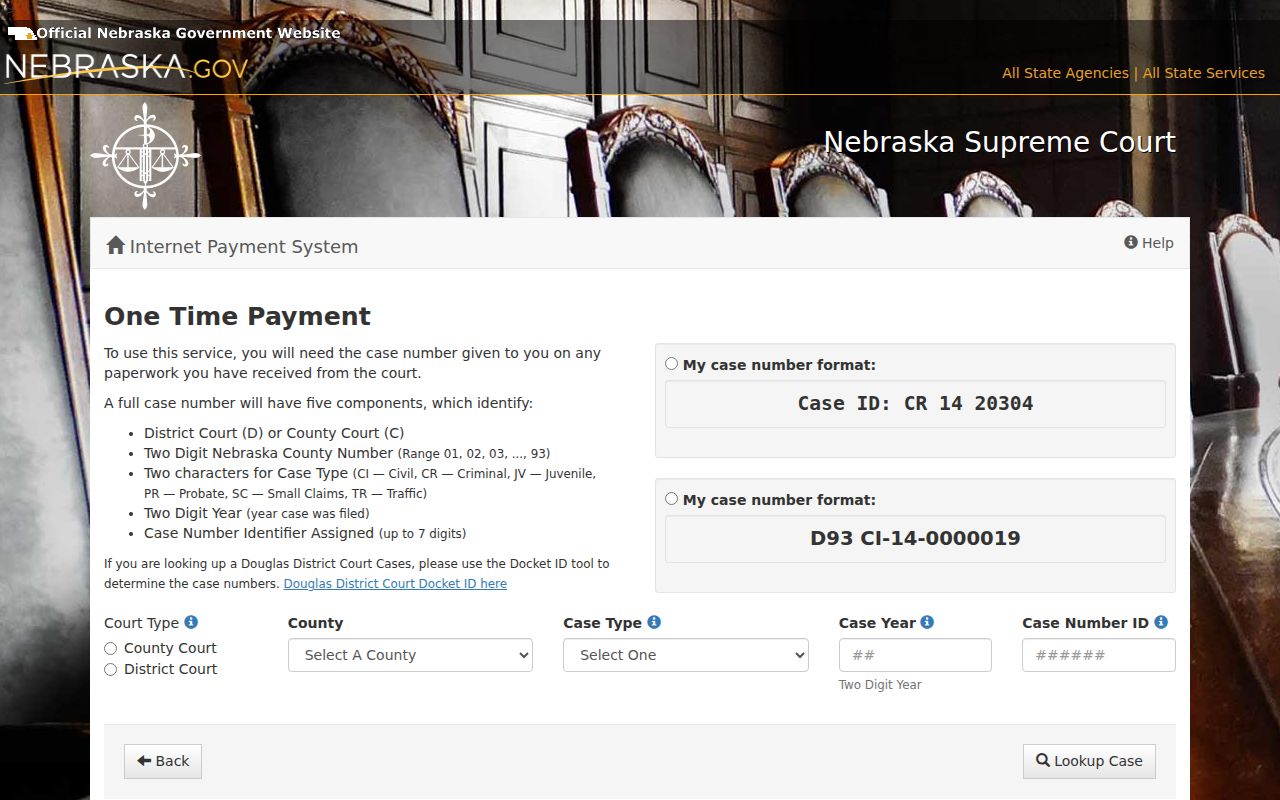Dixon County court case number and warrant payment fields